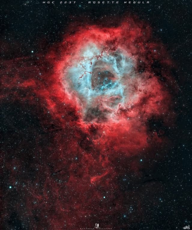 Roses are Red