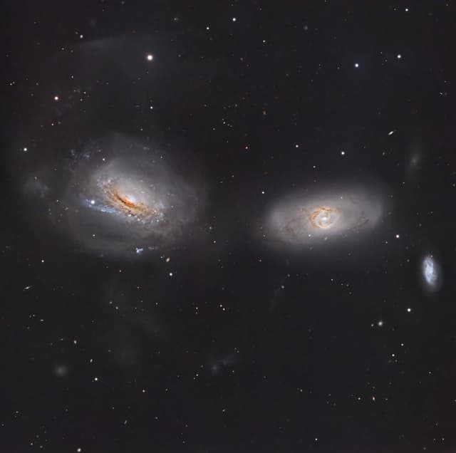 Unraveling NGC 3169