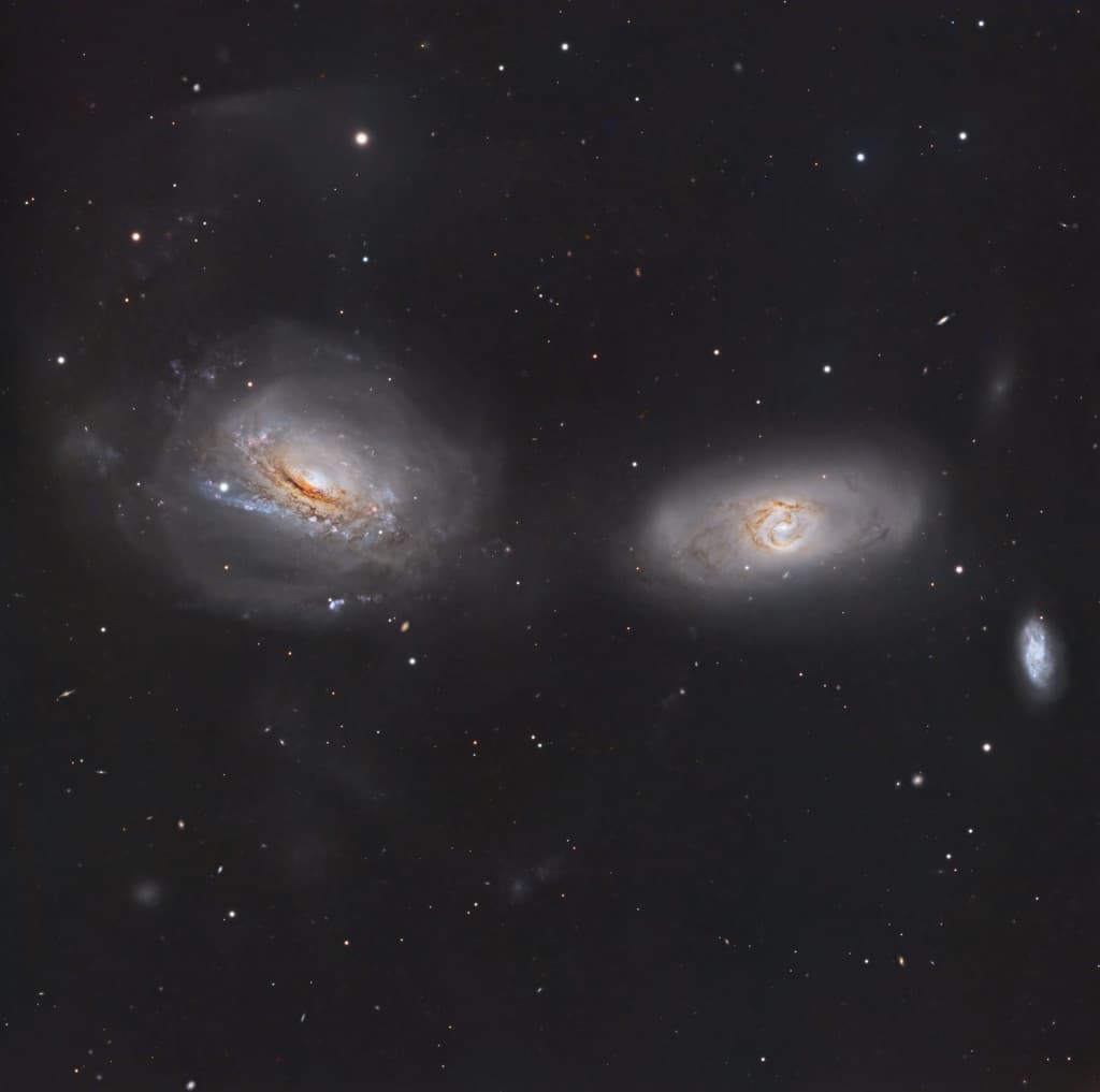 Unraveling NGC 3169